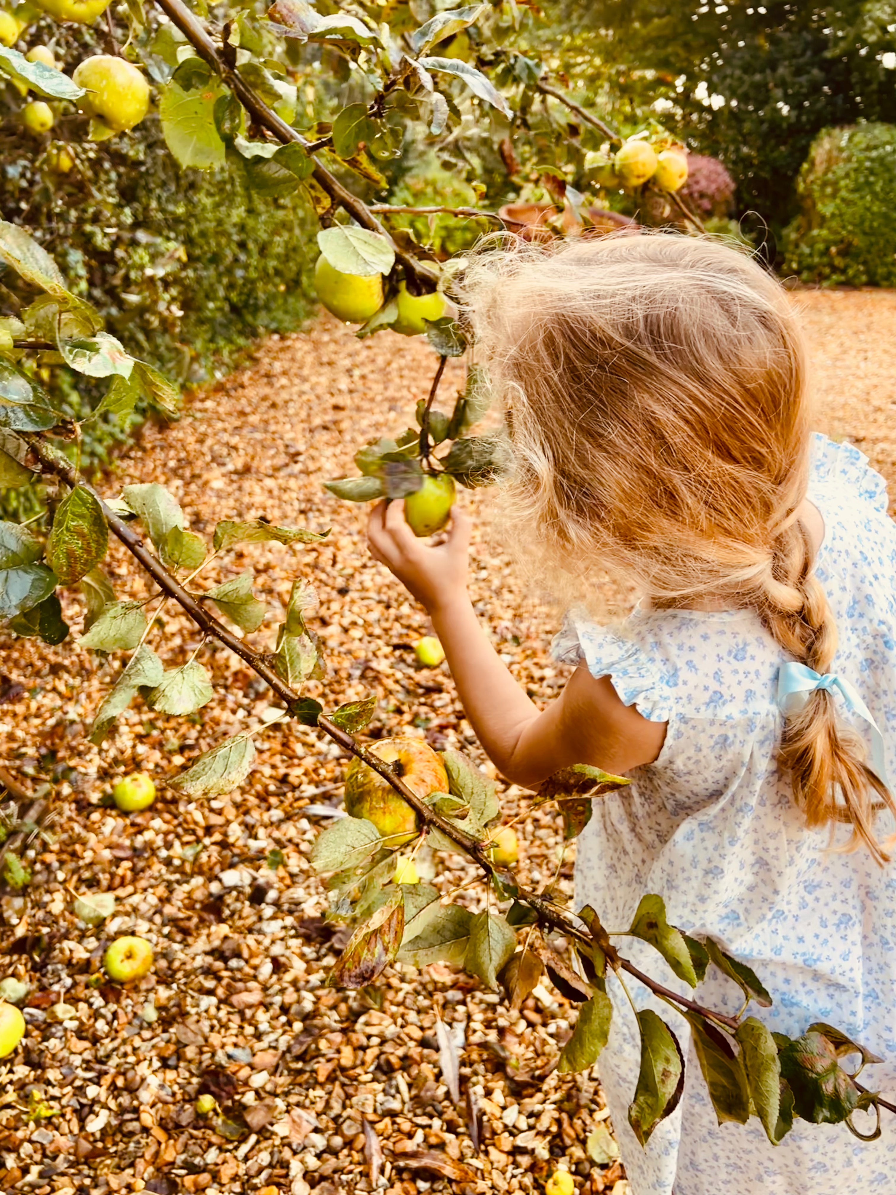 The Lucky Blue Night Dress