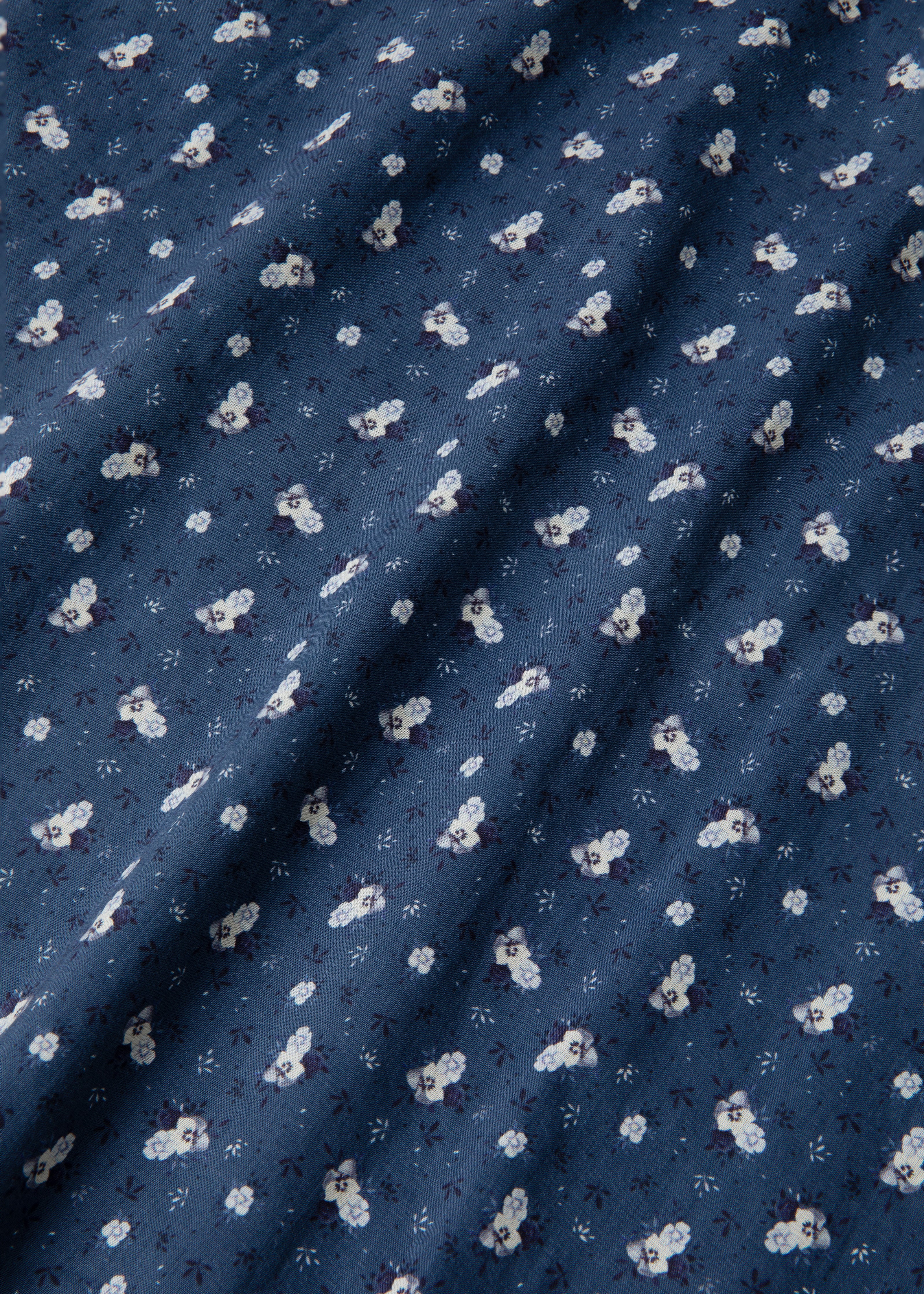 Daisy (midnight pansy)