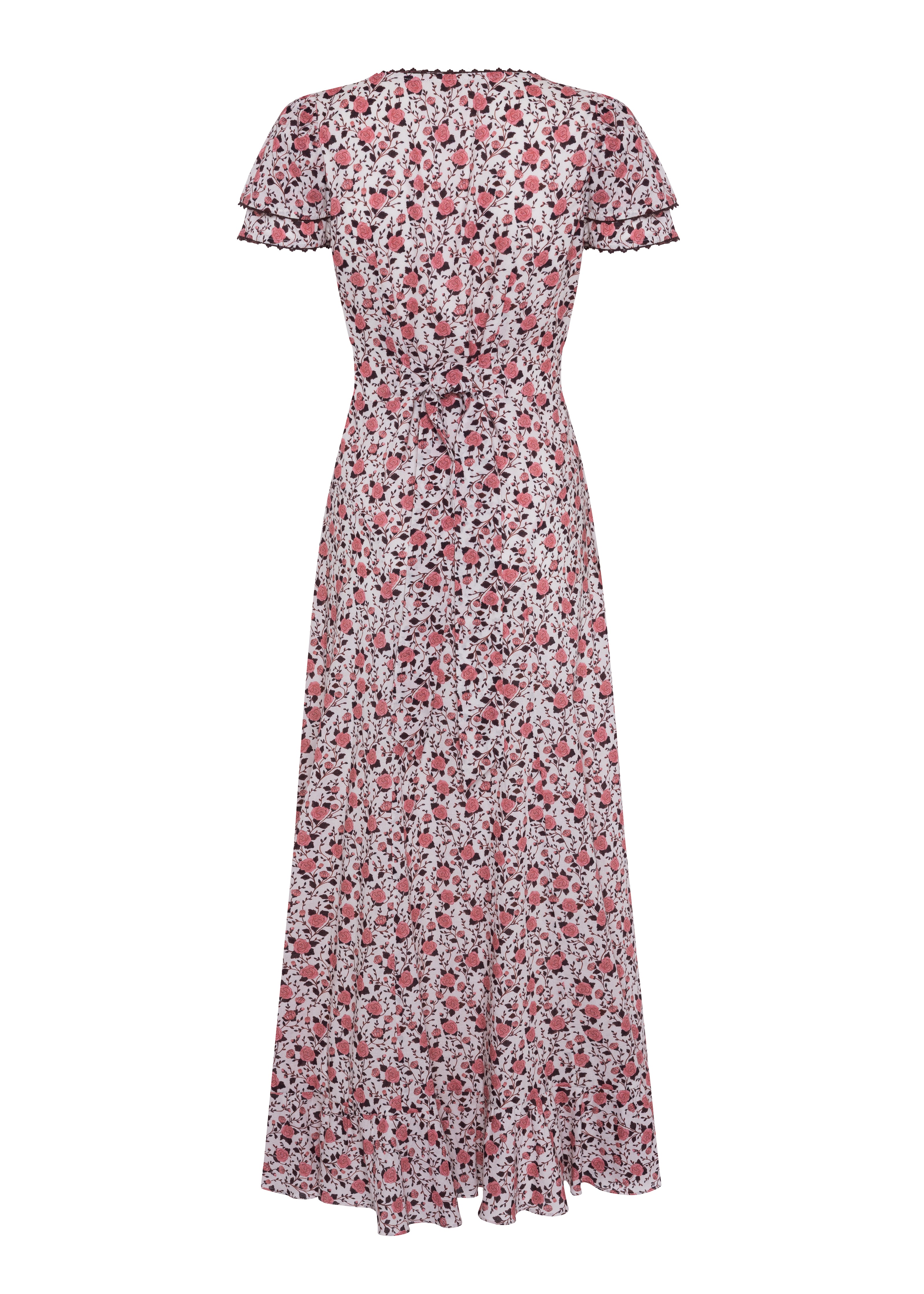 Isabella (indian rose)