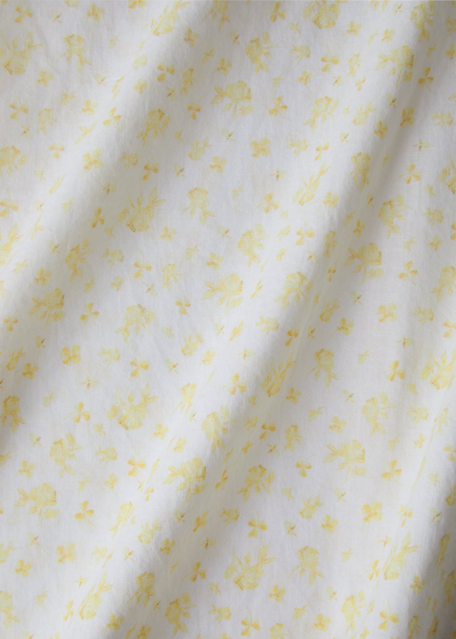 Annette (lucky yellow)