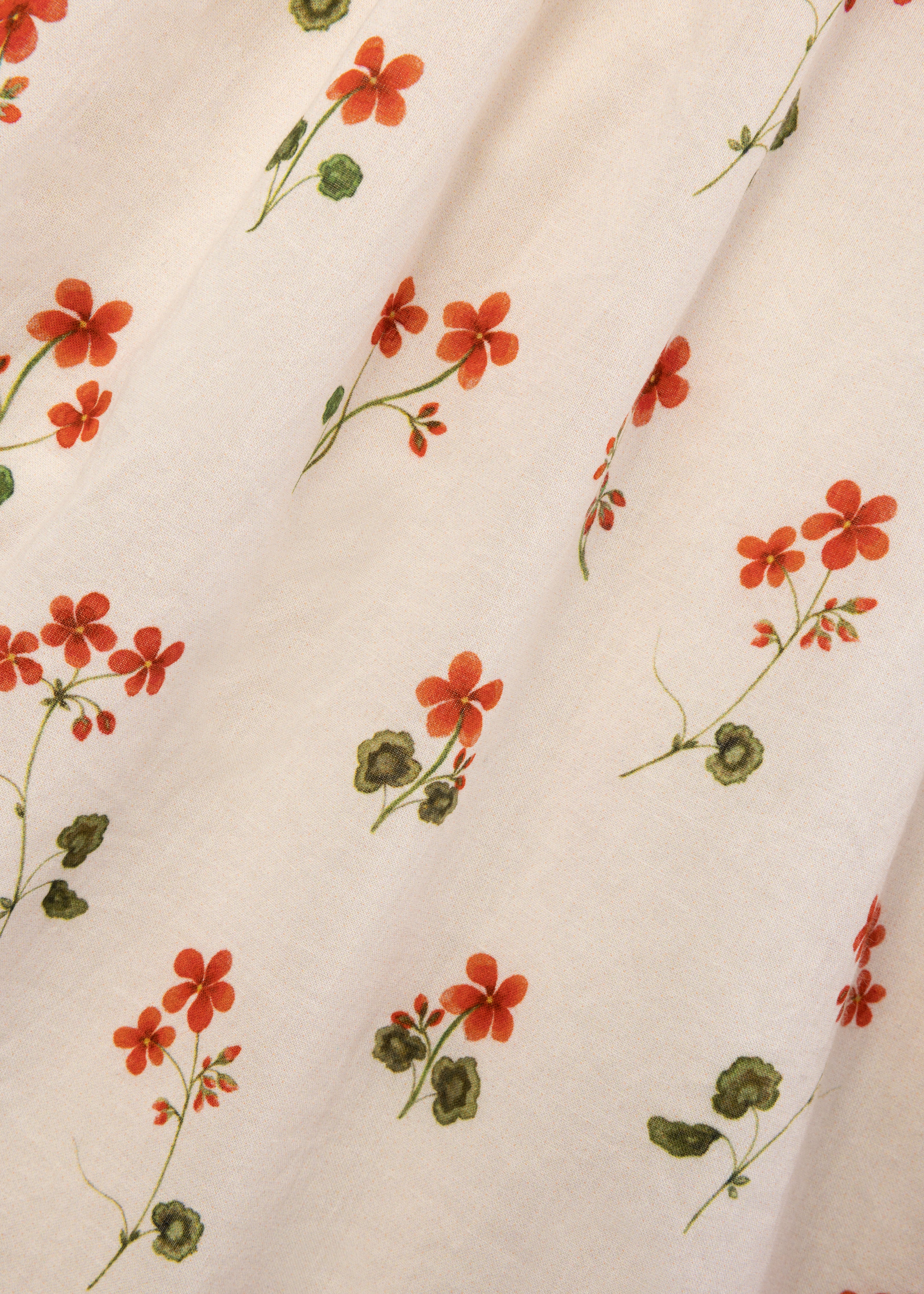 Ottilie (geranium)