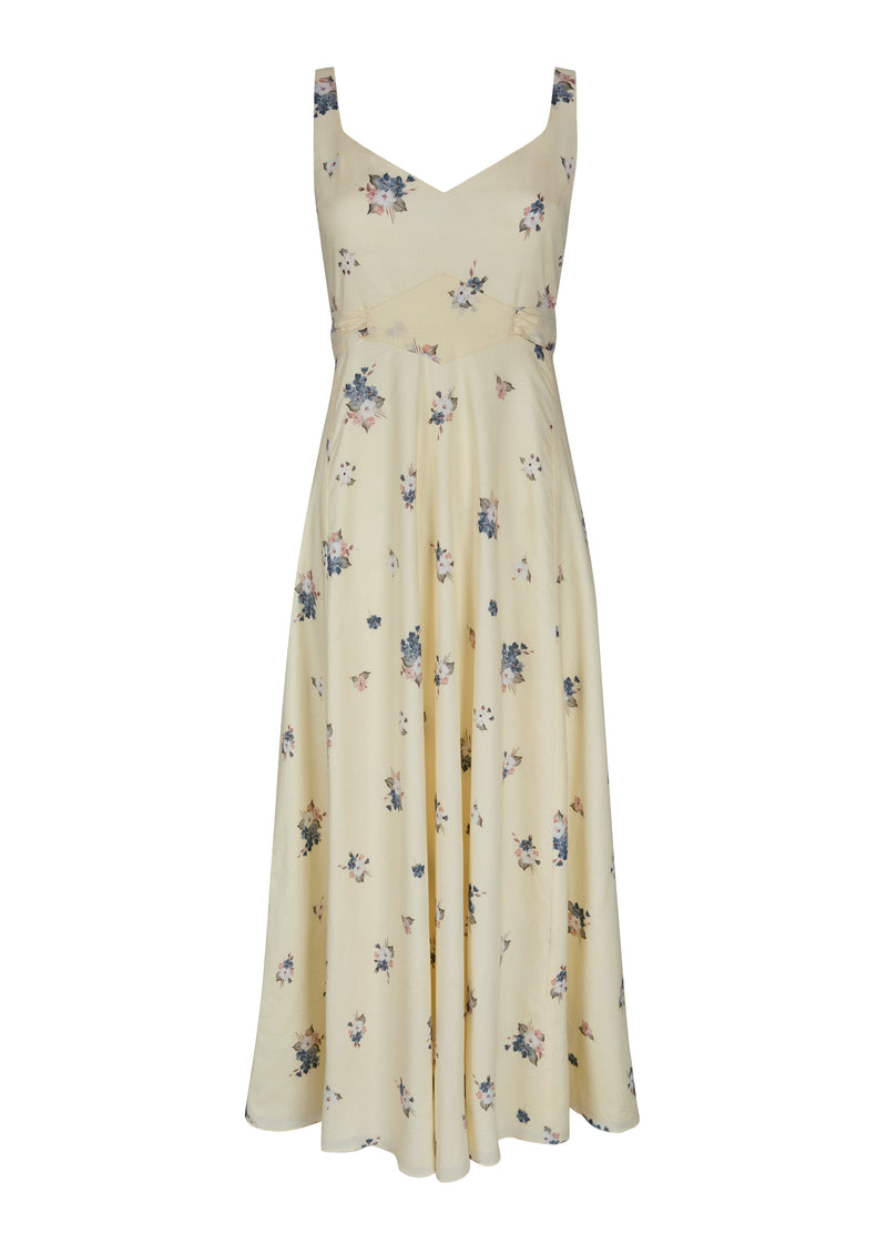 Joanna (wild rose)